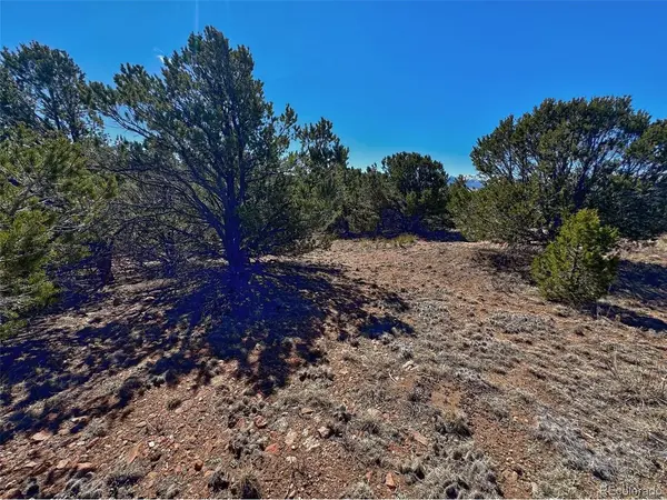 514 Kiowa, Westcliffe, CO 81252