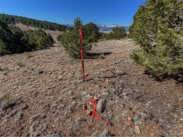885 Crow, Westcliffe, CO 81252