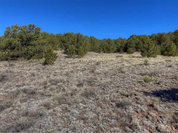 885 Crow, Westcliffe, CO 81252