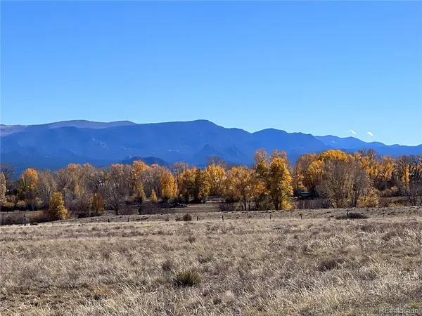 0 County Road 361, Buena Vista, CO 81211