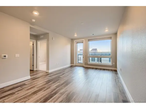 20 Wilcox #316, Castle Rock, CO 80104