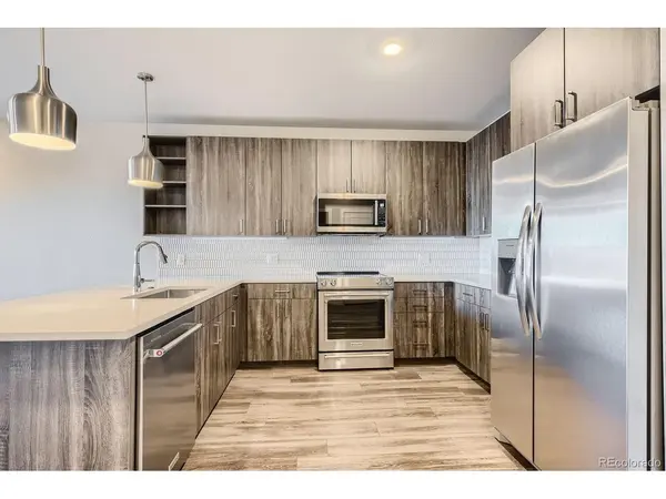 20 Wilcox #316, Castle Rock, CO 80104