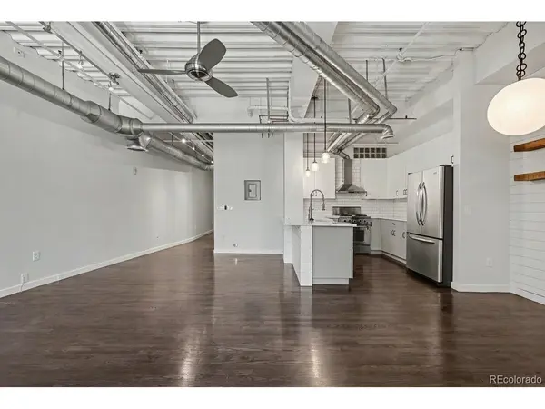 1435 Wazee #308, Denver, CO 80202