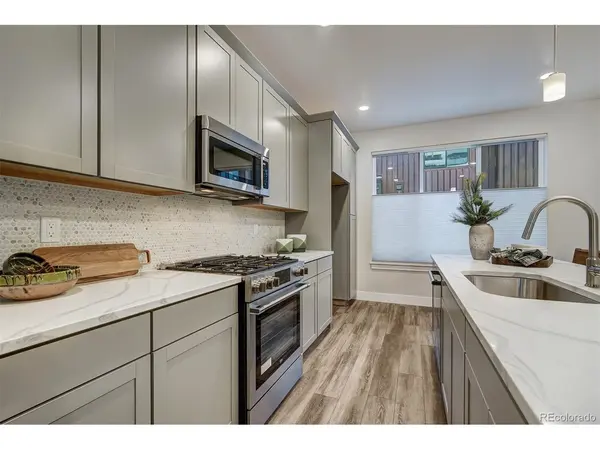 1301 Adams Avenue #113, Silverthorne, CO 80498
