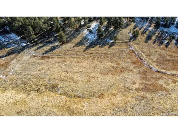 150 High Pasture, Florissant, CO 80816
