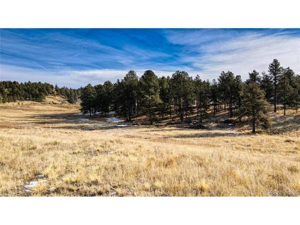 150 High Pasture, Florissant, CO 80816