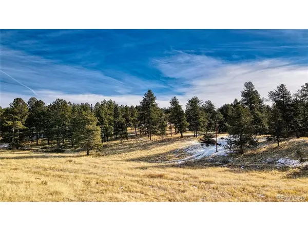 150 High Pasture, Florissant, CO 80816
