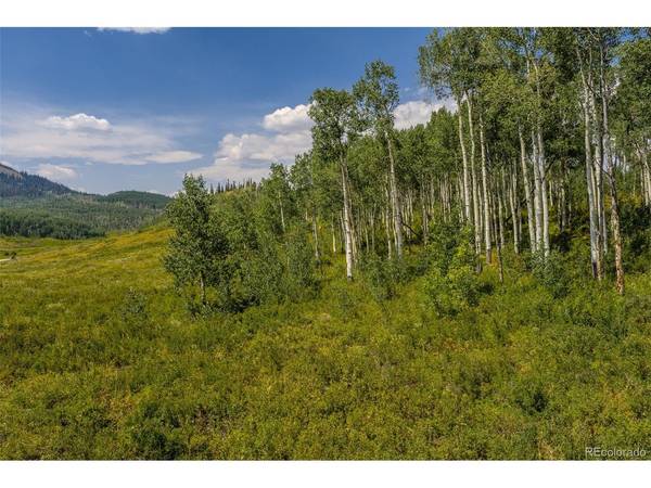 153 GCR 286, Kremmling, CO 80459