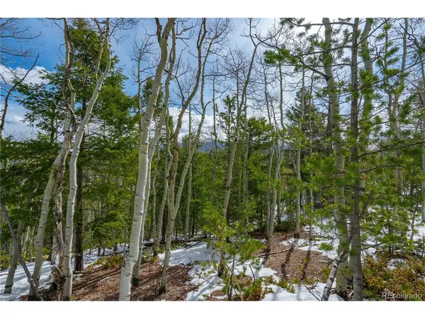 224 Deadwood, Cripple Creek, CO 80813