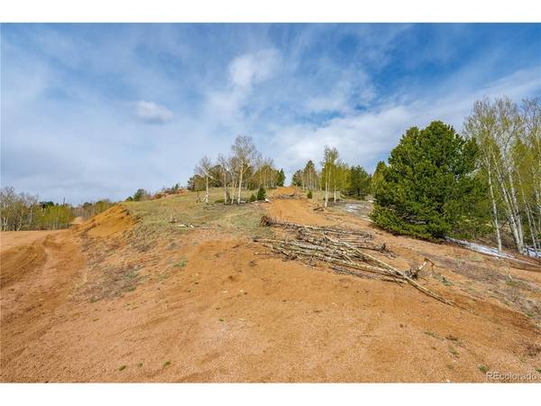 224 Deadwood, Cripple Creek, CO 80813