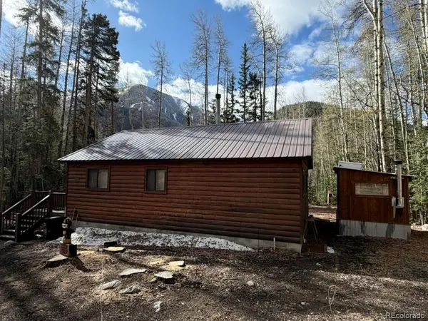 25981 County Road 162 E, Nathrop, CO 81236