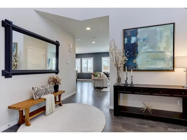 13956 Blue Wing, Parker, CO 80134