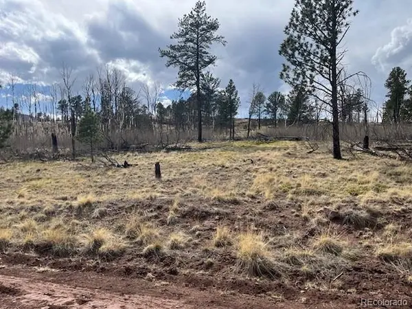 686 Cogbill, Fort Garland, CO 81133