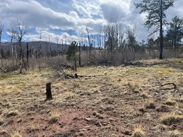 686 Cogbill, Fort Garland, CO 81133