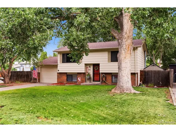 541 Sycamore, Windsor, CO 80550