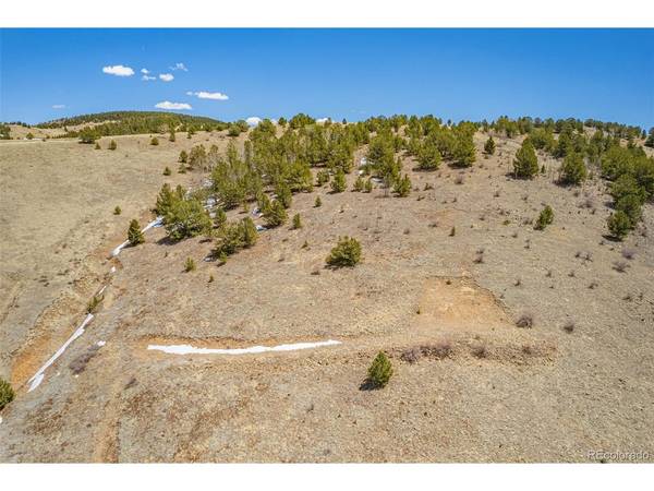 1538 County Road 1, Cripple Creek, CO 80813