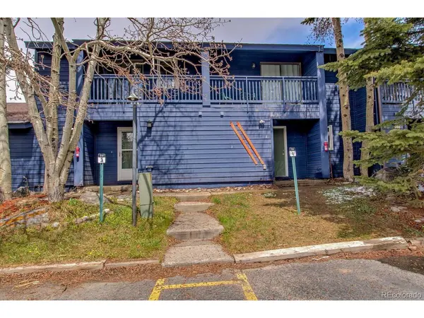 250 Cove #3, Dillon, CO 80435