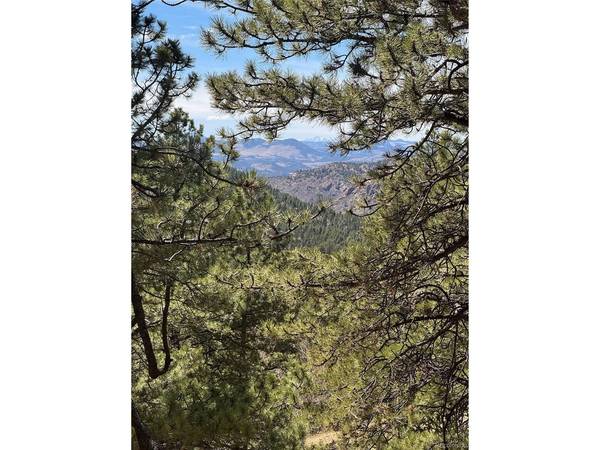 288 Troy, Cripple Creek, CO 80813