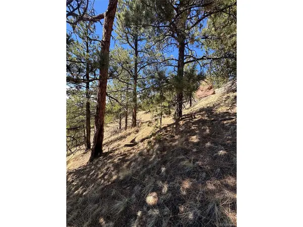 288 Troy, Cripple Creek, CO 80813