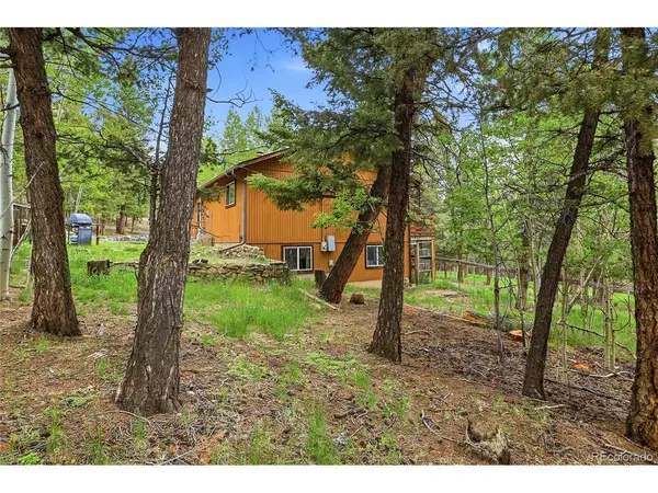175 Mount Bailey, Bailey, CO 80421