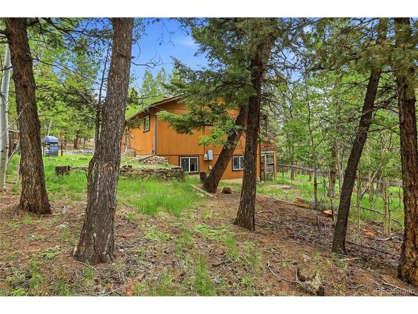 175 Mount Bailey, Bailey, CO 80421