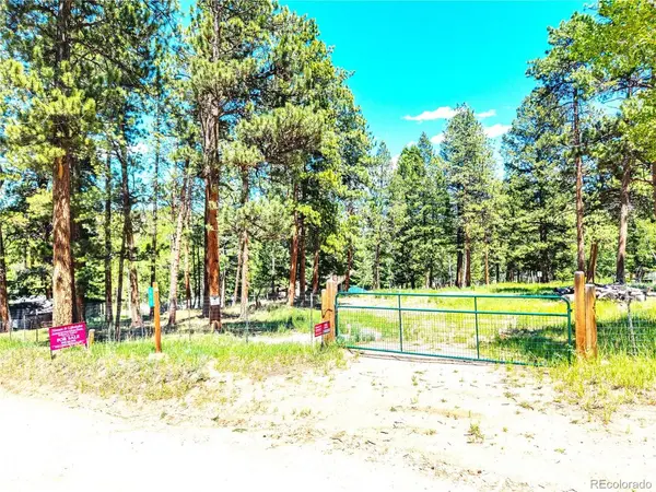 252 Beaver, Bailey, CO 80421