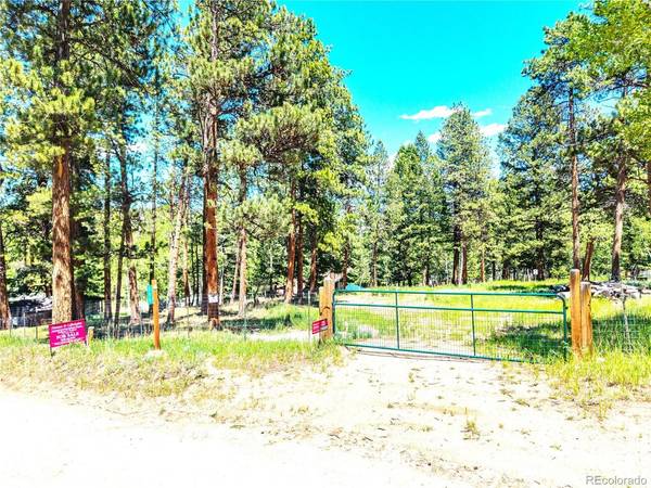 252 Beaver, Bailey, CO 80421