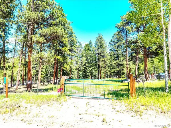 252 Beaver, Bailey, CO 80421