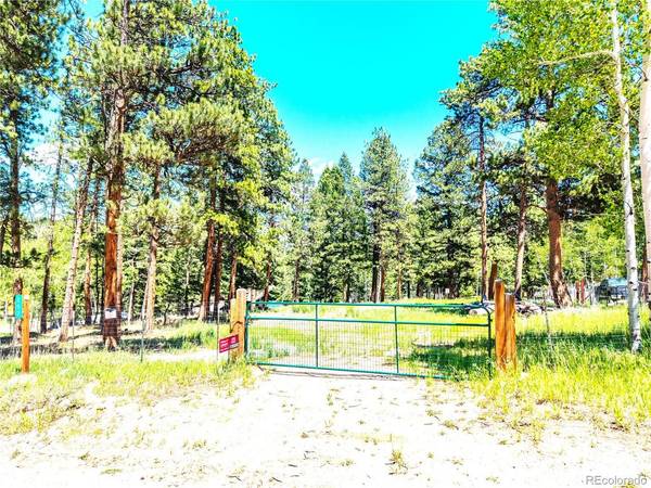 252 Beaver, Bailey, CO 80421