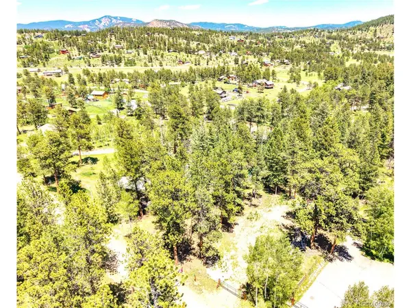 252 Beaver, Bailey, CO 80421