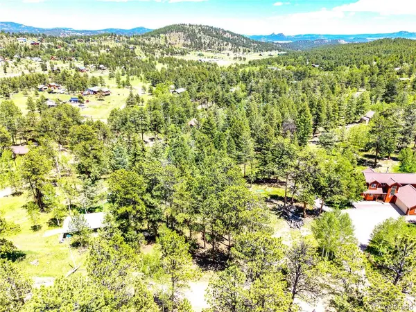 252 Beaver, Bailey, CO 80421