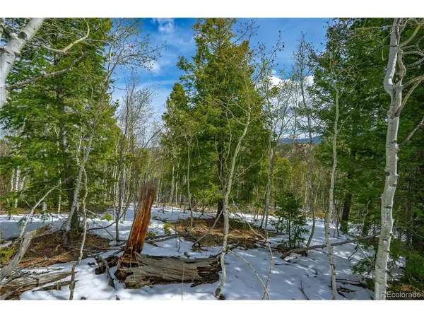 192 Deadwood, Cripple Creek, CO 80813