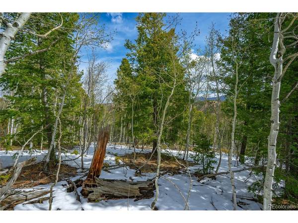 192 Deadwood, Cripple Creek, CO 80813
