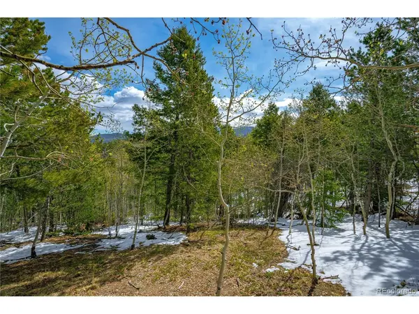 192 Deadwood, Cripple Creek, CO 80813
