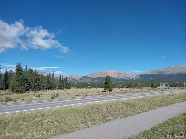 64 Glissade, Alma, CO 80420