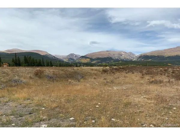 64 Glissade, Alma, CO 80420