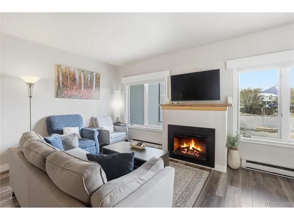 623 Cedar #D-D102, Buena Vista, CO 81211
