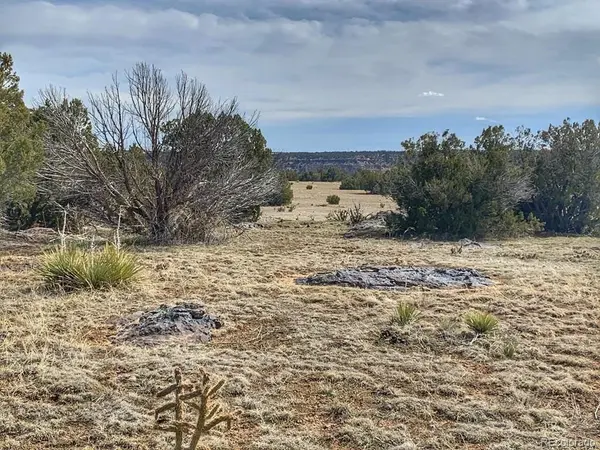 80 Turkey Ridge Ranch, Walsenburg, CO 81089