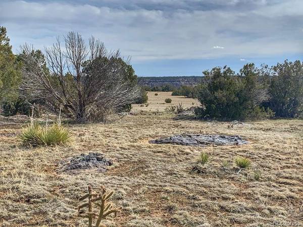 80 Turkey Ridge Ranch, Walsenburg, CO 81089