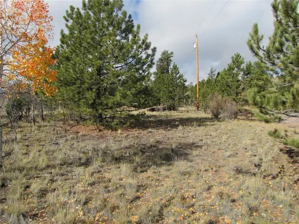 206 Bandolier, Hartsel, CO 80449