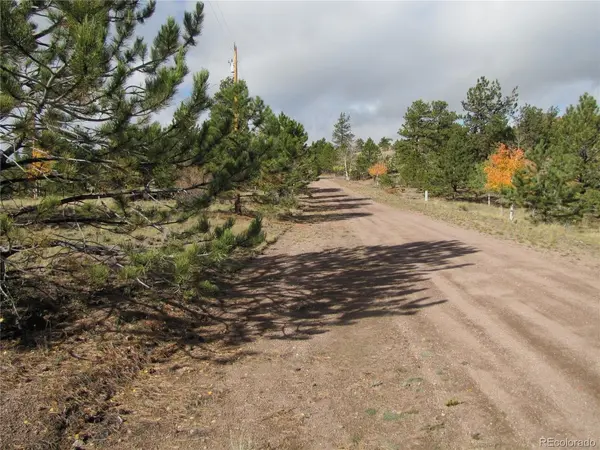 206 Bandolier, Hartsel, CO 80449