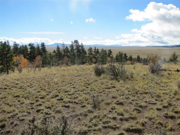 206 Bandolier, Hartsel, CO 80449