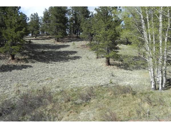 1699 Monarch, Cripple Creek, CO 80813