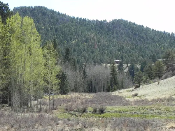 1699 Monarch, Cripple Creek, CO 80813