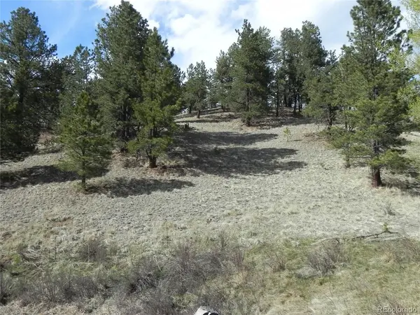 1699 Monarch, Cripple Creek, CO 80813