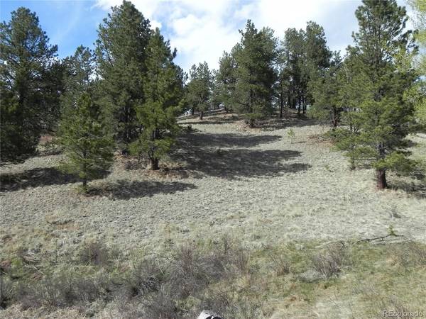 1699 Monarch, Cripple Creek, CO 80813