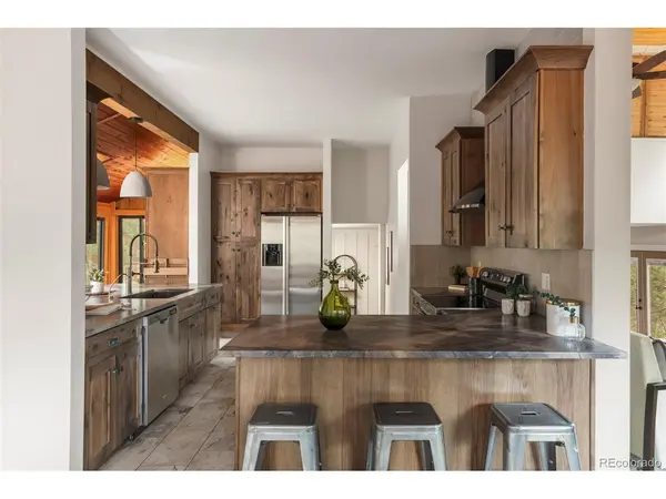 25193 N Turkey Creek, Evergreen, CO 80439