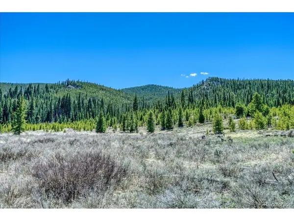 370 Meadow Wood, Dillon, CO 80435