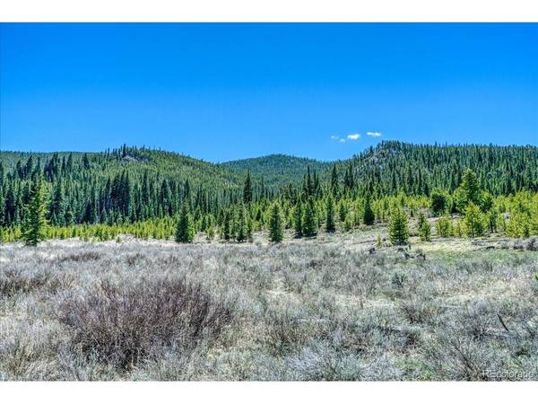 370 Meadow Wood, Dillon, CO 80435