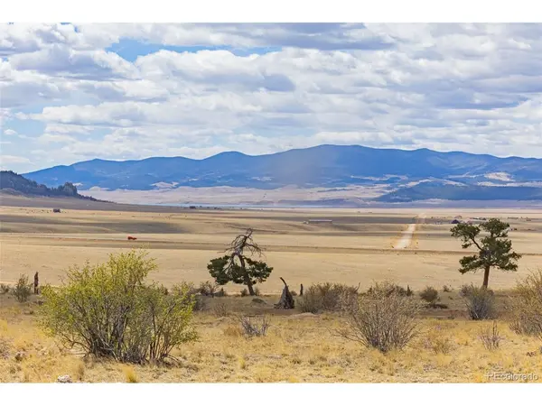 1685 Montezuma, Lake George, CO 80827